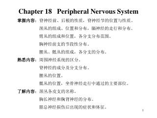 掌握内容 ：脊神经前、后根的性质，脊神经节的位置与性质。 颈丛的组成、位置和分布，膈神经的走行和分布。