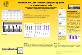 Inhibition of C13orf19 mRNA expression by siRNA in prostate cancer cells