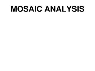 MOSAIC ANALYSIS