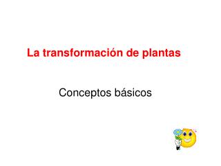 La transformación de plantas Conceptos básicos