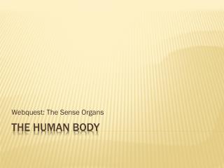 The human body