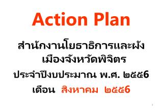 Action Plan