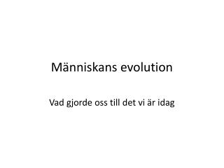 Människans evolution