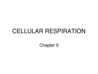 CELLULAR RESPIRATION