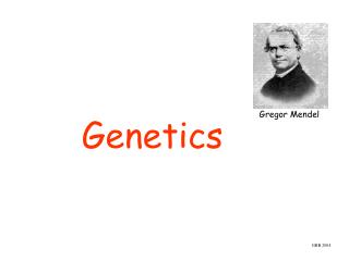Genetics