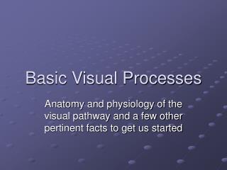 Basic Visual Processes