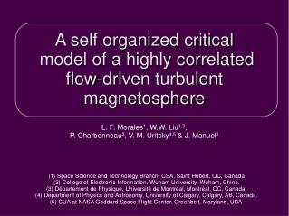 A self organized critical model of a highly correlated flow-driven turbulent magnetosphere