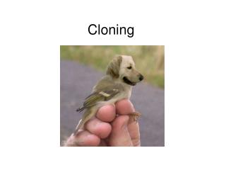 Cloning