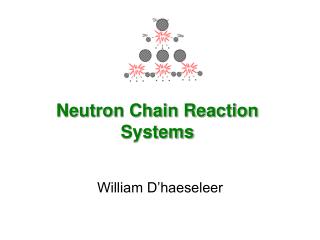 Neutron Chain Reaction Systems