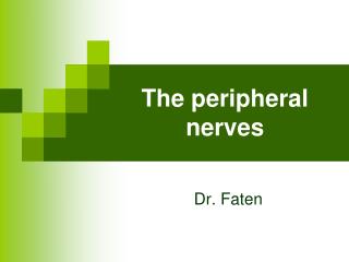 The peripheral nerves