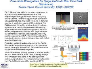 Steve Turner, Pacific Biosciences, Palo Alto, California