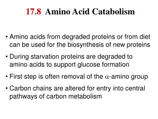 17.8 Amino Acid Catabolism