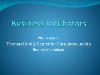 Business Incubators