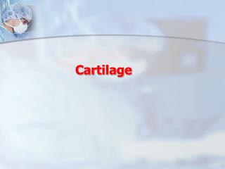 Cartilage