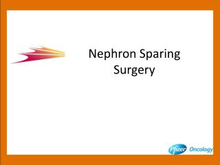 Nephron Sparing Surgery