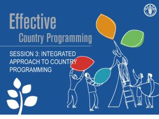 Session 3 : Integrated approach to country programming