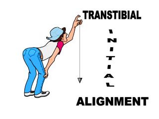 TRANSTIBIAL