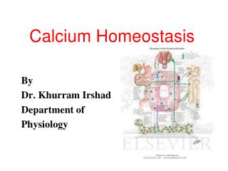 Calcium Homeostasis