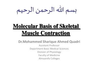 Molecular Basis of Skeletal Muscle Contraction