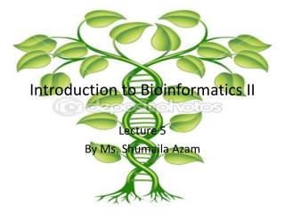 Introduction to Bioinformatics II