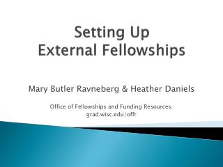 Setting Up External Fellowships