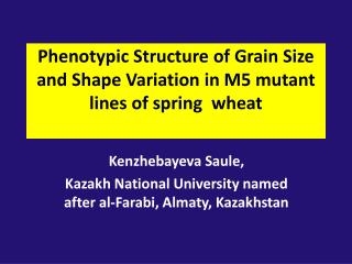 Phenotypic Structure of Grain Size and Shape Variation in M5 mutant lines of spring wheat