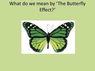 What do we mean by ‘The Butterfly Effect?’