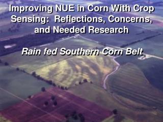 Predominant N Management Issues
