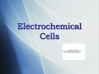 Electrochemical Cells