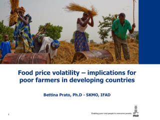 Food price volatility – implications for poor farmers in developing countries