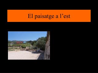 El paisatge a l’est