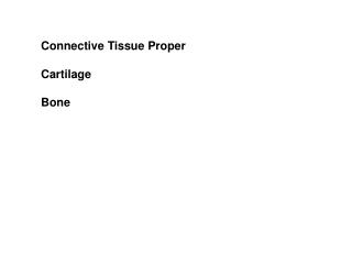 Connective Tissue Proper Cartilage Bone