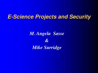 E-Science Projects and Security