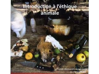 Introduction à l’éthique animale