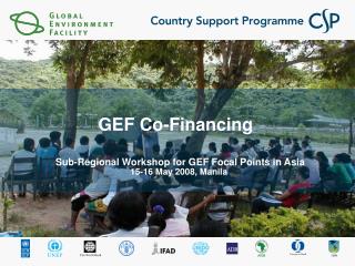 GEF Co-Financing