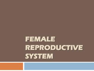 Female reproductive system