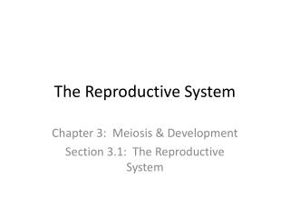 The Reproductive System