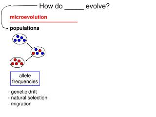 populations