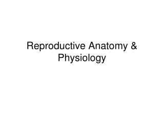 Reproductive Anatomy &amp; Physiology