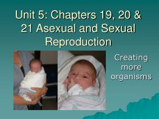 Unit 5: Chapters 19, 20 &amp; 21 Asexual and Sexual Reproduction