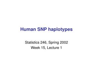 Human SNP haplotypes