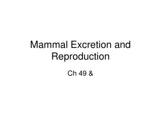 Mammal Excretion and Reproduction