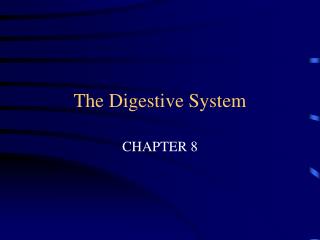 The Digestive System