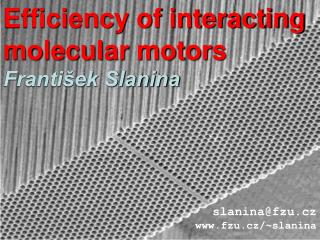 Efficiency of interacting molecular motors František Slanina slanina@fzu.cz fzu.cz/~slanina