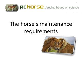 The horse's maintenance requirements