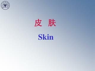 皮 肤 Skin