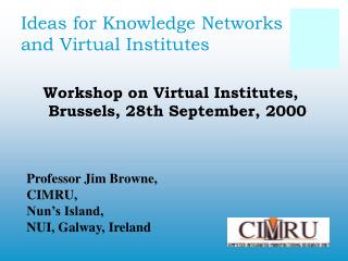 Ideas for Knowledge Networks and Virtual Institutes