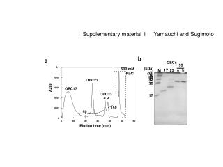 Supplementary material 1