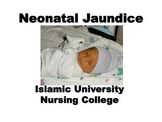 Neonatal Jaundice Islamic University Nursing College