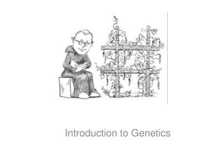 Introduction to Genetics